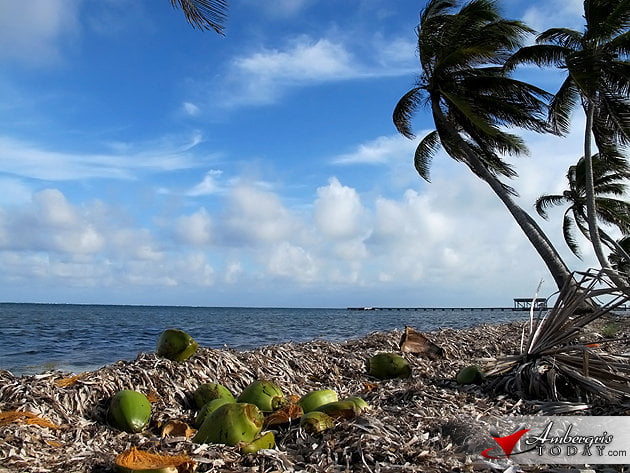 Beautiful Day by the beach