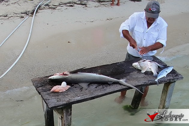 Local fisherman cleaning fish by the beach