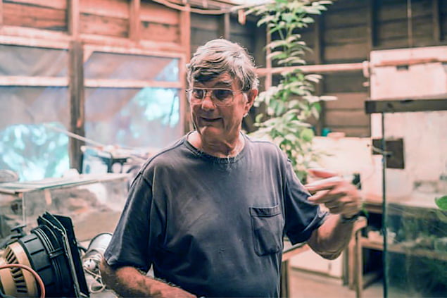 National Geographic British Filmmaker Reported Missing in Belize