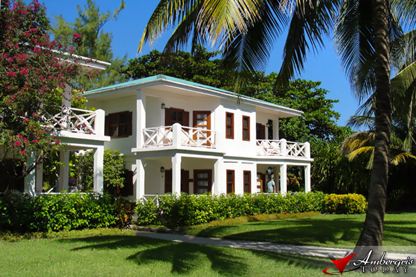 Rare Toucan Bird Sighting at Victoria House, San Pedro, Ambergris Caye Rare Toucan Bird Sighting in San Pedro, Ambergris Caye