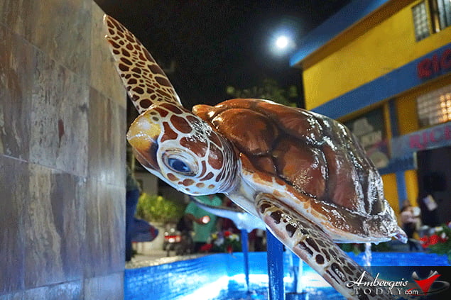 Fountain Commemorates Belize Reef