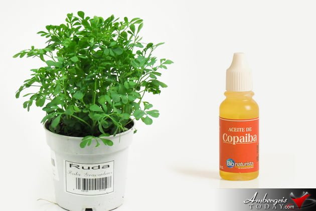 How to cure a baby's navel "tuch" More Strange Home Remedies used in the Village Of San Pedro