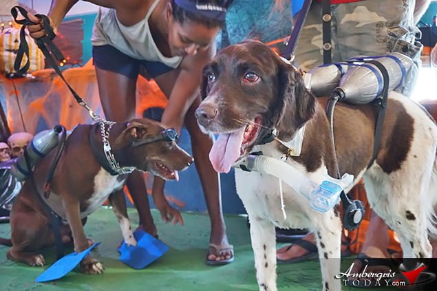 Saga Humane Society's Annual Halloween Bash