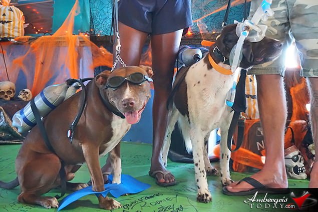 Saga Humane Society's Annual Halloween Bash