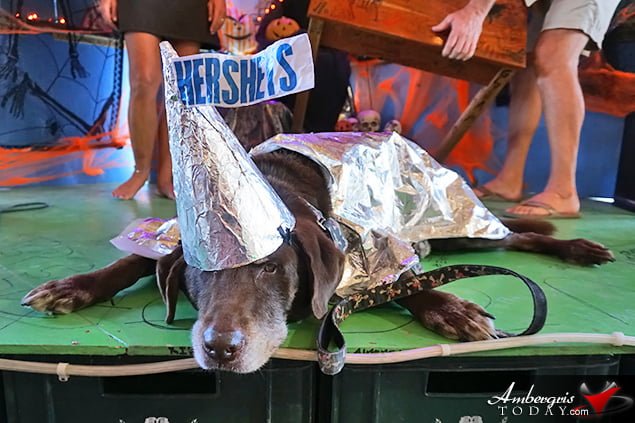 Saga Humane Society's Annual Halloween Bash