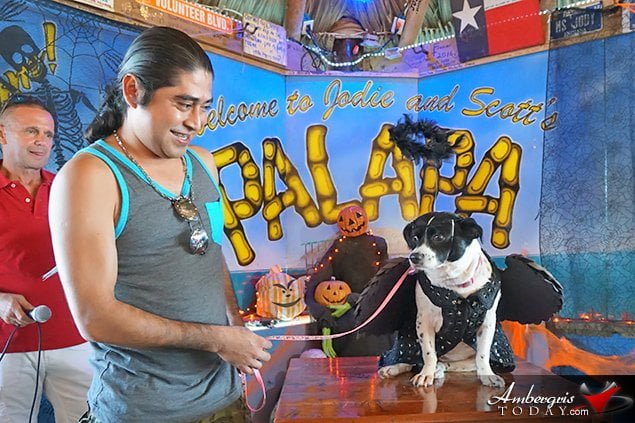 Saga Humane Society's Annual Halloween Bash