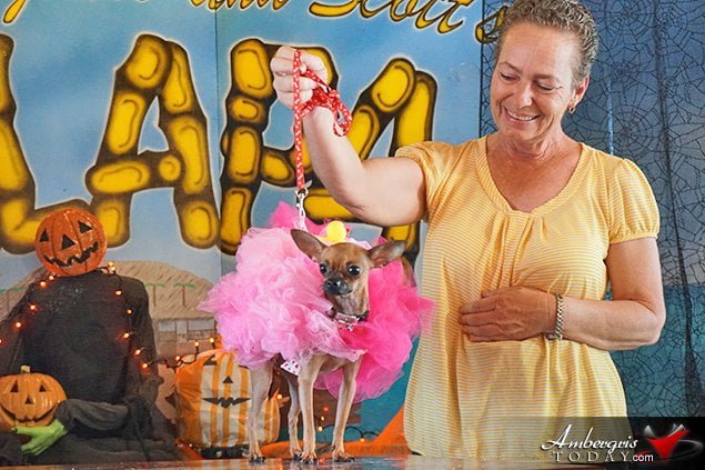 Saga Humane Society's Annual Halloween Bash