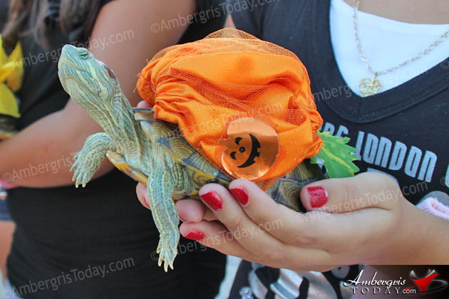 Saga Humane Society 9th Annual Halloween Party