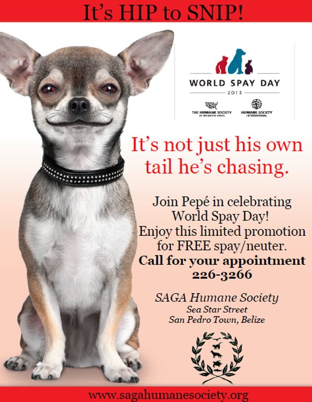 World Spay Day World Spay Day