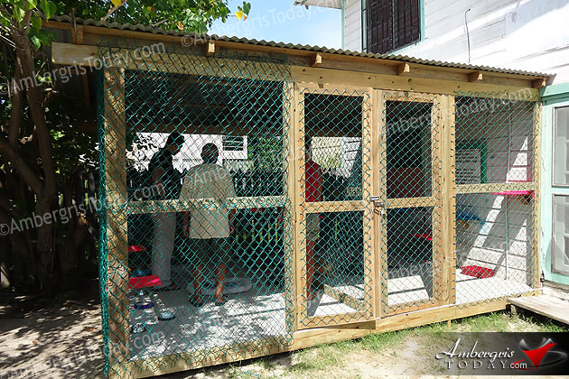 Cattery Donated to Saga Humane Society