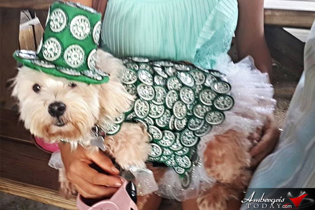 Saga Humane Society Rocks Halloween in San Pedro