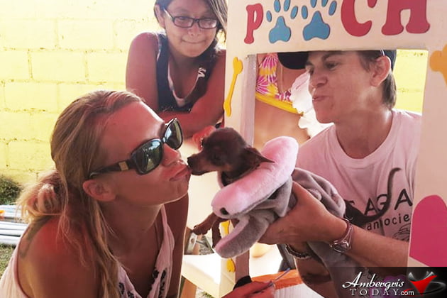 Saga Humane Society Rocks Halloween in San Pedro