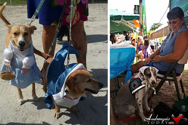 Saga Humane Society Rocks Halloween in San Pedro