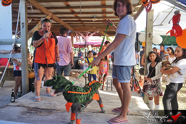 Dogs Enjoy Halloween in San Pedro Too