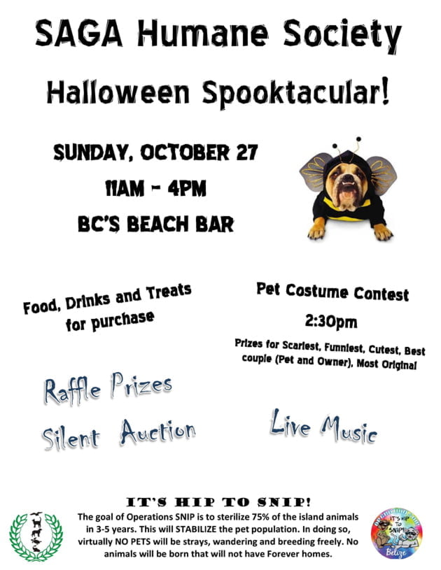 Saga Halloween Spooktacular