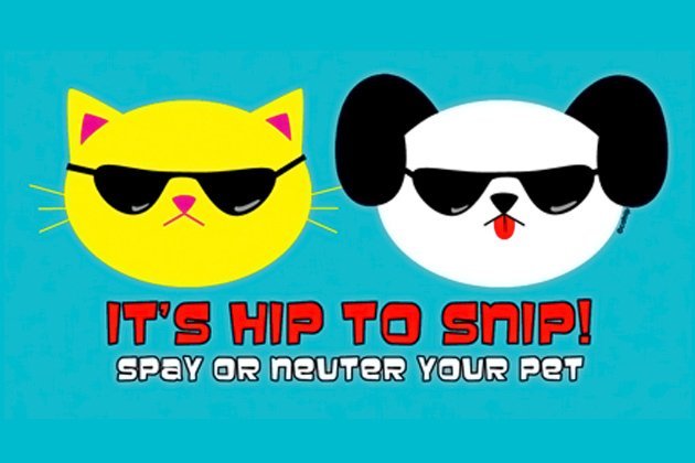 Saga’s October Snip-a-thon Saga’s October Snip-a-thon