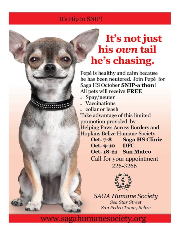 Saga’s October Snip-a-thon Saga’s October Snip-a-thon