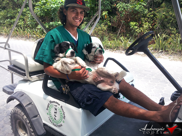 Saga Humane Society Celebrates 15 Years of Community Service