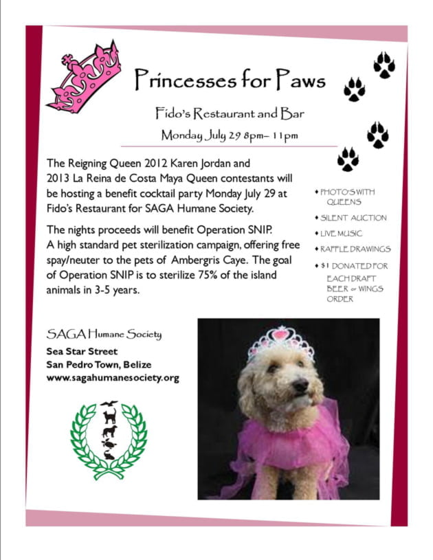 Saga's Princesses for Paws