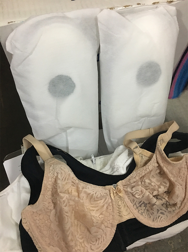 The Belize Cancer Society of California Donate to the San Pedro Cancer Society