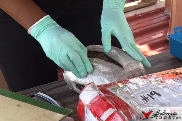 San Pedro Police Destroys over 100Kilos of Drugs 3 San Pedro Police Destroys over 100Kilos of Drugs