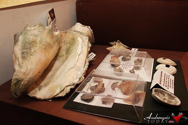 San Pedro House of Culture Opens Pirates of Belize Exhibit