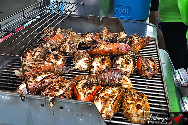 San Pedro Lobster Fest 2015 -Ambergris Caye, Belize Elvi’s Kitchen Tops Lobsterfest with Best Dish