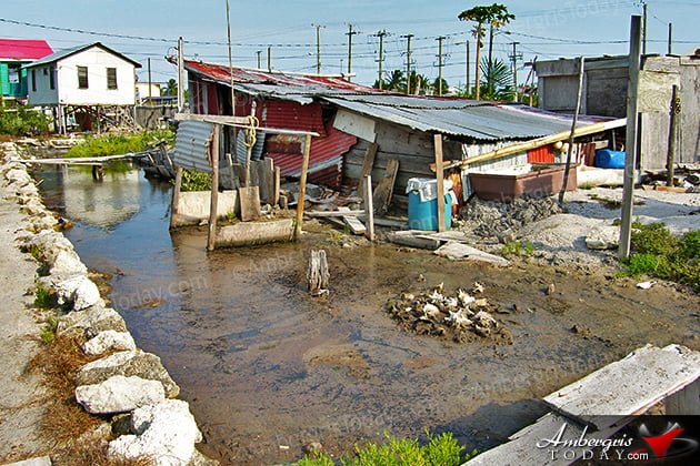 Growing Stages of Ambergris Caye -San Mateo