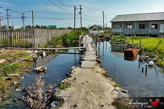 Growing Stages of Ambergris Caye -San Mateo