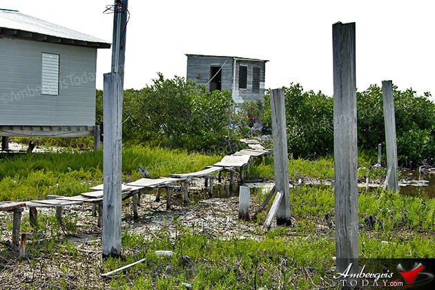 Growing Stages of Ambergris Caye -San Mateo