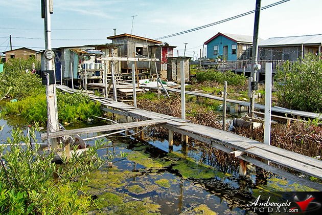 Growing Stages of Ambergris Caye -San Mateo