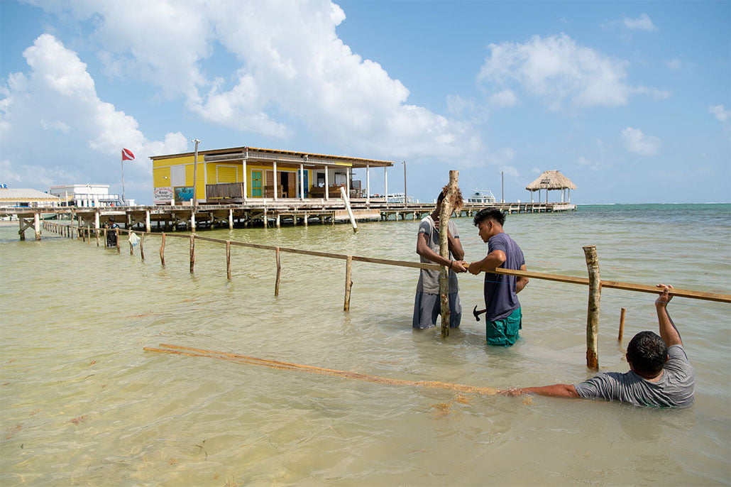 Town Council Sets Up Sargassum Barriers for Easier Cleanup