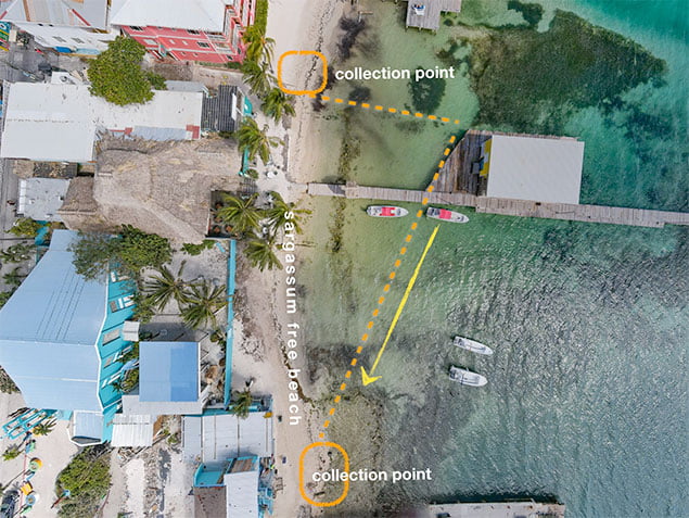 Town Council Sets Up Sargassum Barriers for Easier Cleanup