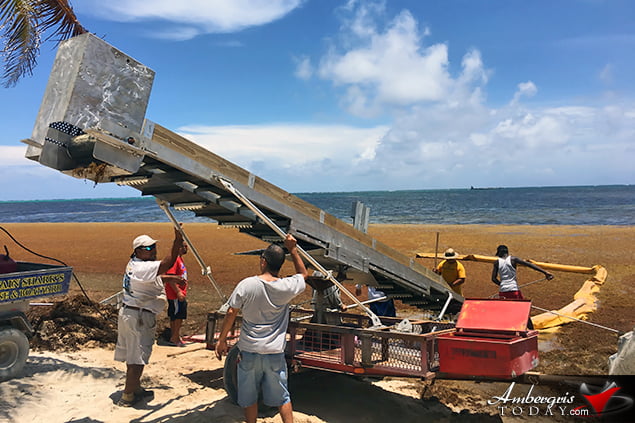 San Pedro, Belize Finds ways to battle accumulating Sargassum