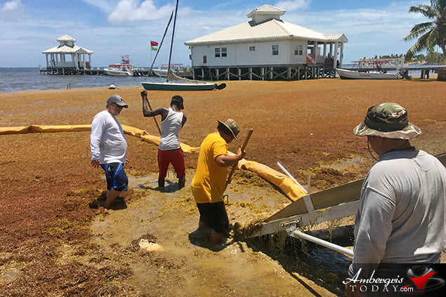 San Pedro, Belize Finds ways to battle accumulating Sargassum