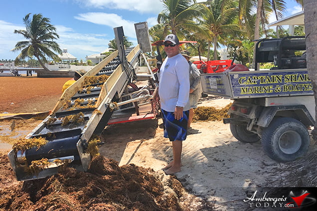 San Pedro, Belize Finds ways to battle accumulating Sargassum