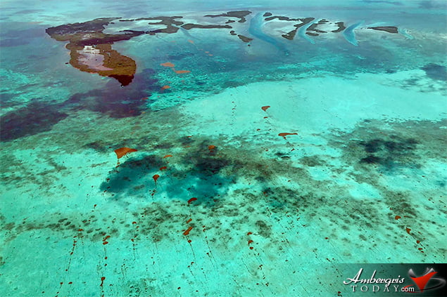 San Pedro, Belize Finds ways to battle accumulating Sargassum