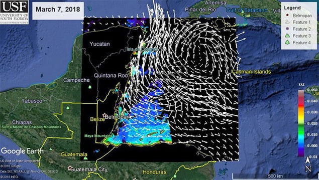 Sargassum Task Force Update on Impact of Sargassum