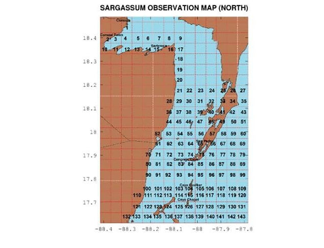 Sargassum Task Force Update on Impact of Sargassum