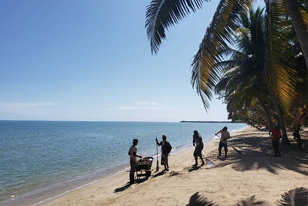 Sargassum Task Force Update on Impact of Sargassum
