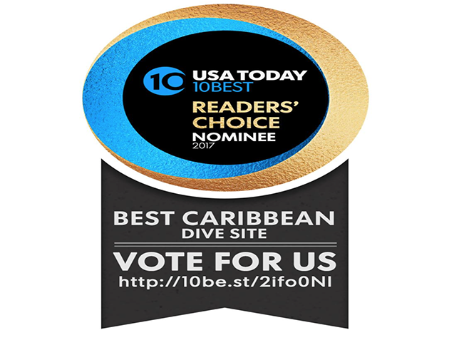  Belize Blue Hole Contender for Best Caribbean Dive Site - VOTE