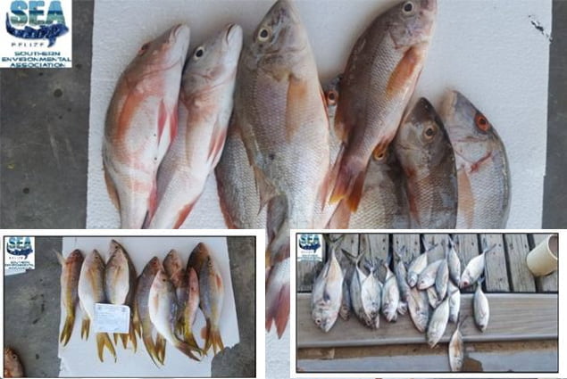Hondurans Busted for Fishing in Belizean Waters 1 Hondurans Busted for Fishing in Belizean Waters