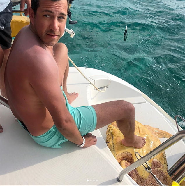 Tourist in Belize Experience Sea Turtle Rescue After It Swallows a Pufferfish 