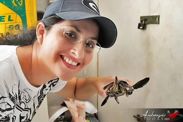 Two Turtles Released Back to the Wild as part of Reef Week 2014