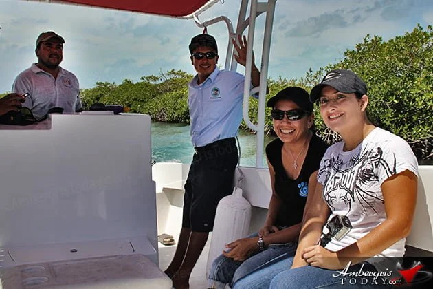 Two Turtles Released Back to the Wild as part of Reef Week 2014