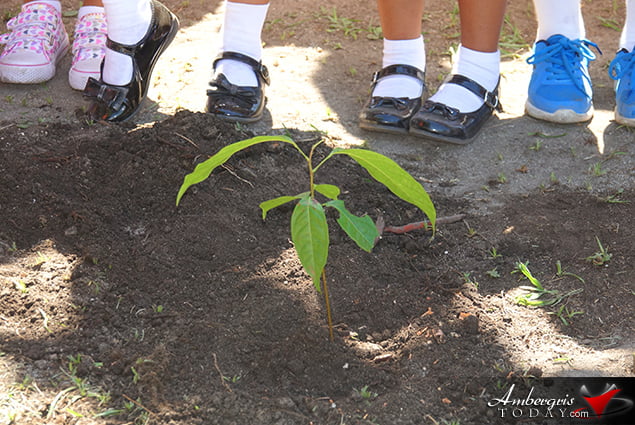 SPTC Plants Mahogany Trees at Schools