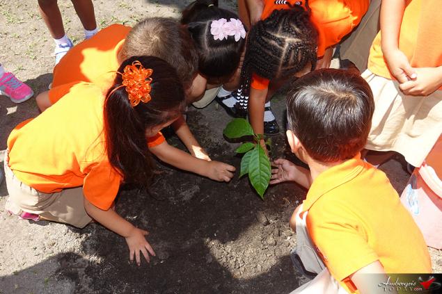 SPTC Plants Mahogany Trees at Schools