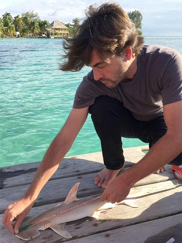 Belize Fisheries Department Confirms Discovery of New Shark Species in Country