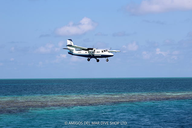 Skydivers Plunge Over San Pedro and Great Blue Hole 2 Skydivers Plunge Over San Pedro and Great Blue Hole