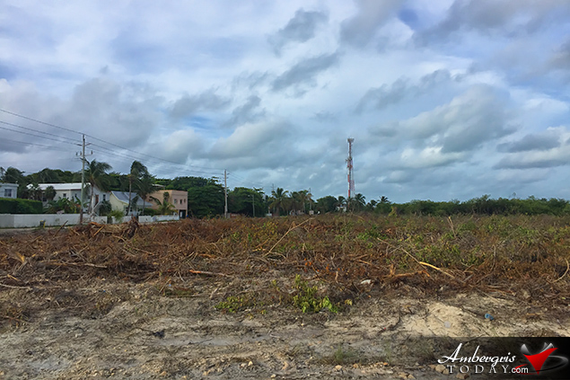 Massive Land Clearing Has Island Residents Very Concerned 2 Massive Land Clearing Has Island Residents Very Concerned